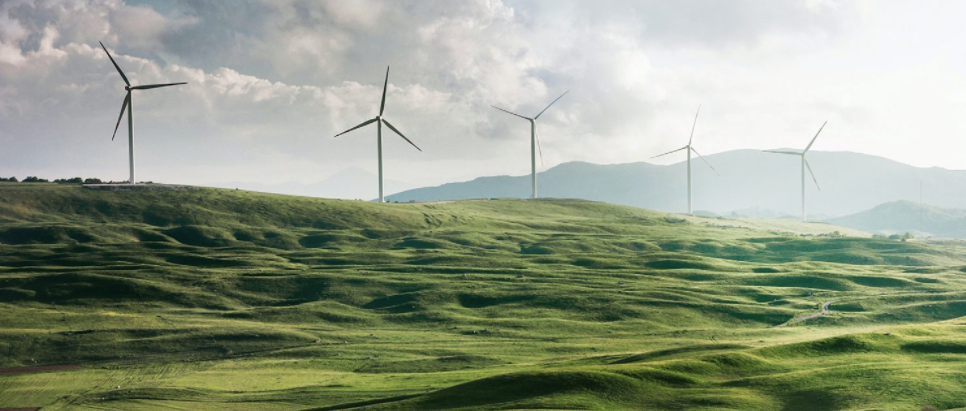 Molinos de viento